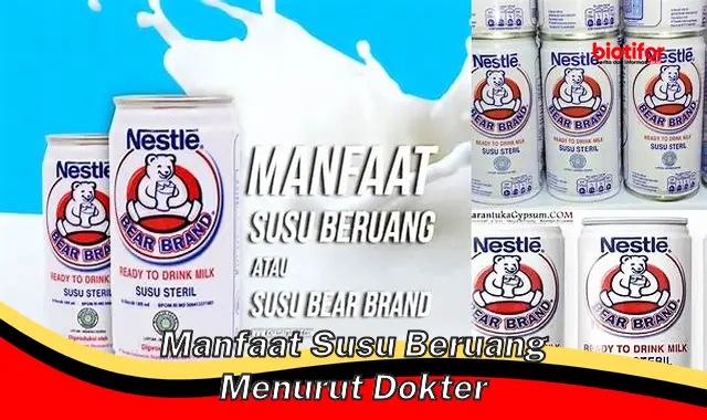 manfaat susu beruang menurut dokter