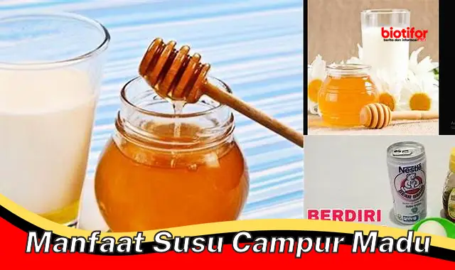 manfaat susu campur madu