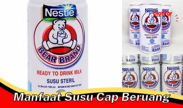 manfaat susu cap beruang