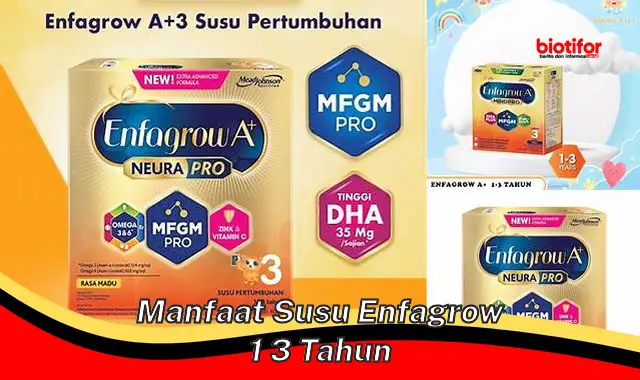 manfaat susu enfagrow 1 3 tahun