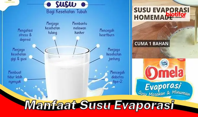 manfaat susu evaporasi