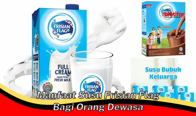 manfaat susu frisian flag bagi orang dewasa