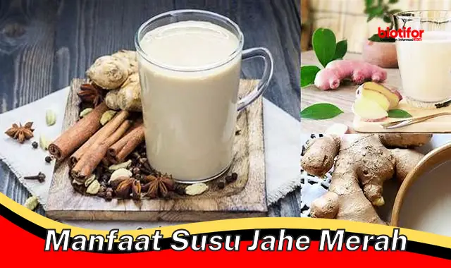 Temukan Manfaat Susu Jahe Merah Yang Jarang Diketahui