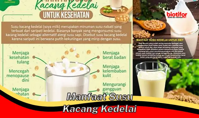 manfaat susu kacang kedelai