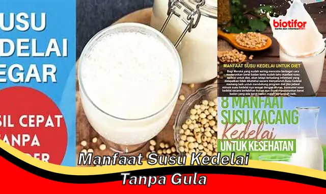 manfaat susu kedelai tanpa gula