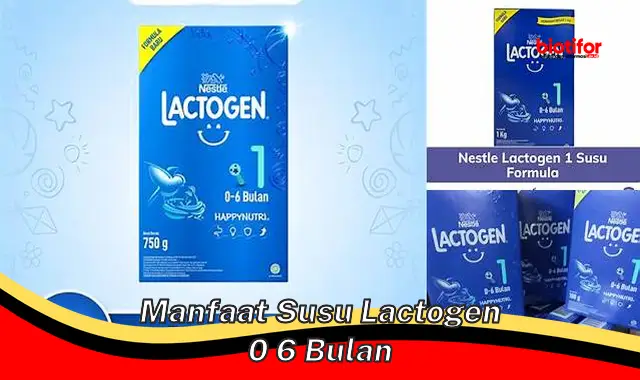 manfaat susu lactogen 0 6 bulan