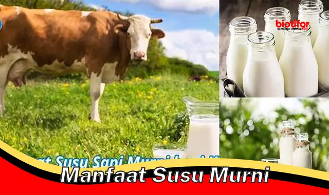 manfaat susu murni