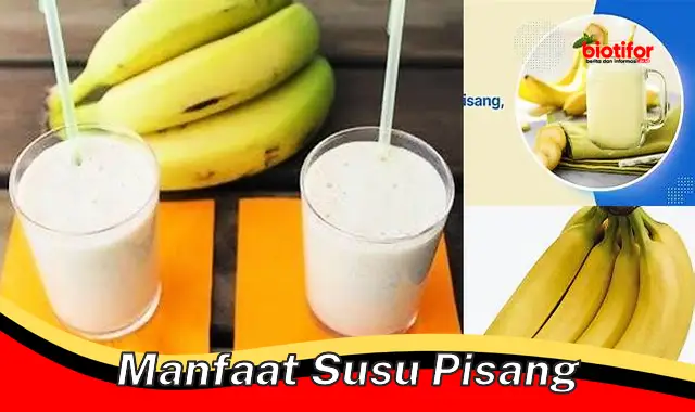 manfaat susu pisang