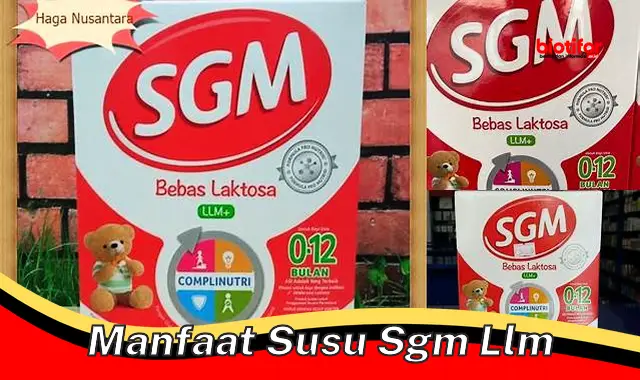 manfaat susu sgm llm