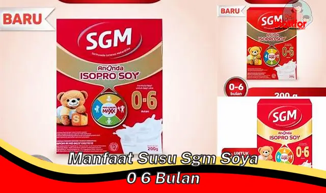 Temukan Khasiat Susu SGM Soya 0-6 Bulan yang Jarang Diketahui