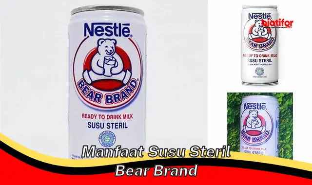 manfaat susu steril bear brand