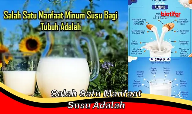 salah satu manfaat susu adalah