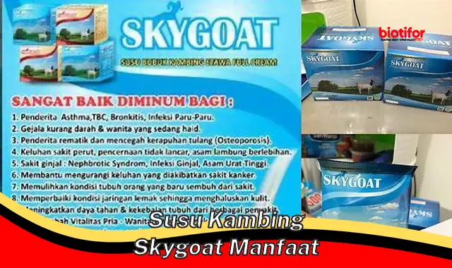 susu kambing skygoat manfaat