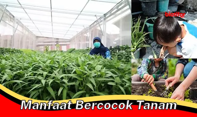 manfaat bercocok tanam