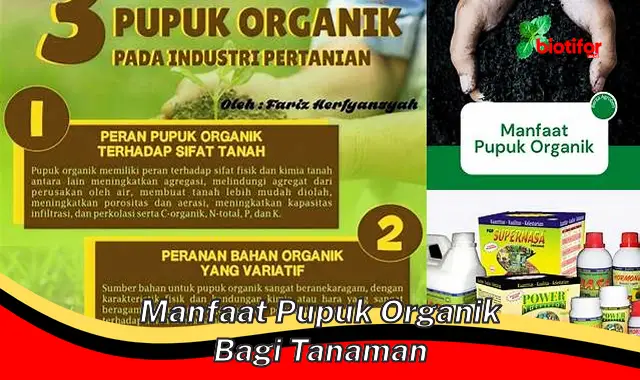 manfaat pupuk organik bagi tanaman