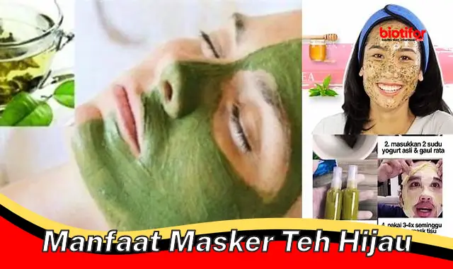 manfaat masker teh hijau