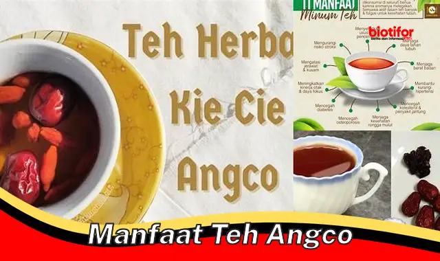 Temukan Manfaat Teh Angco yang Belum Diketahui