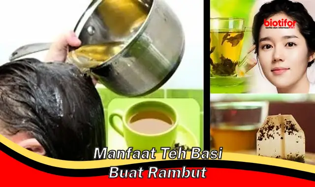 manfaat teh basi buat rambut