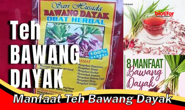 manfaat teh bawang dayak