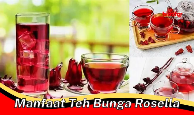 manfaat teh bunga rosella