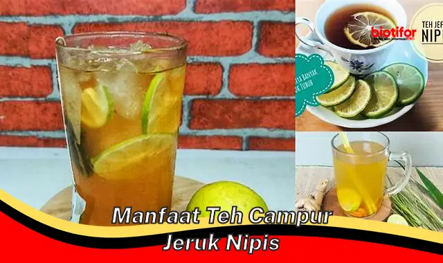 manfaat teh campur jeruk nipis