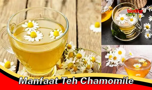 manfaat teh chamomile