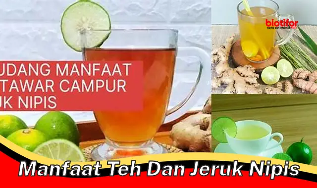 manfaat teh dan jeruk nipis