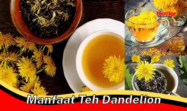 manfaat teh dandelion