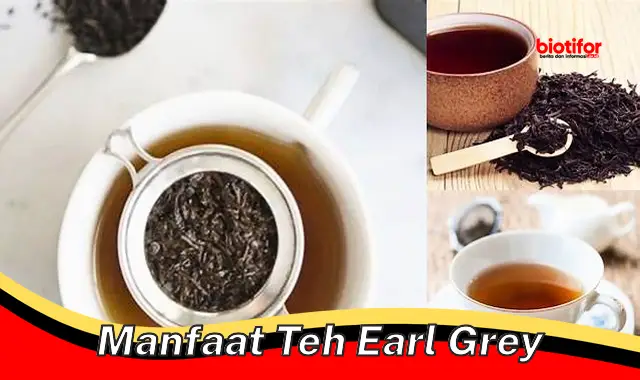 manfaat teh earl grey