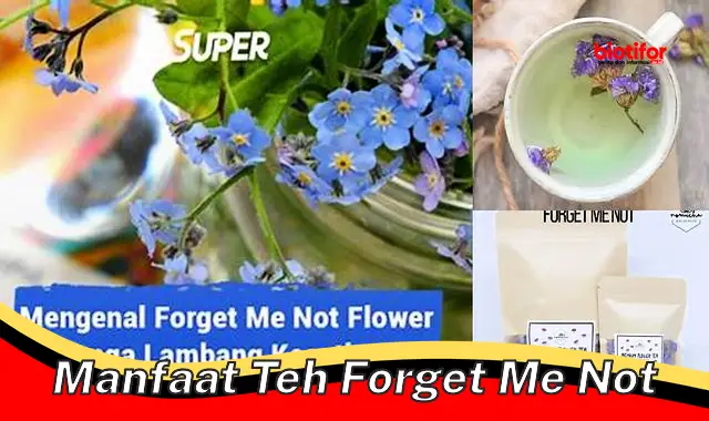 manfaat teh forget me not