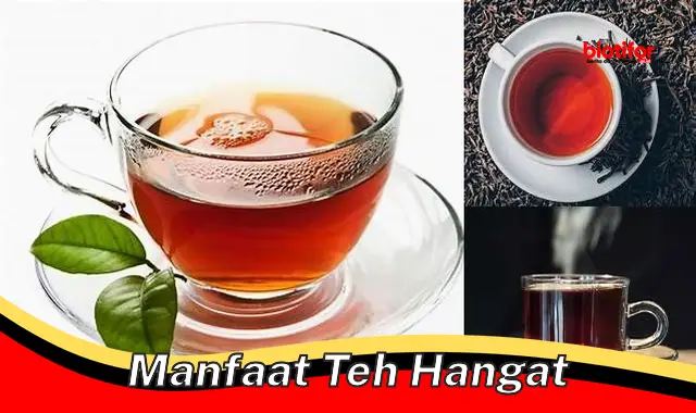 5 Manfaat Teh Hangat yang Jarang Diketahui