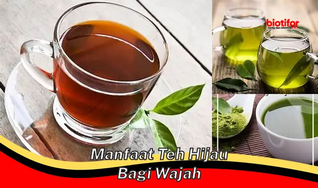 manfaat teh hijau bagi wajah