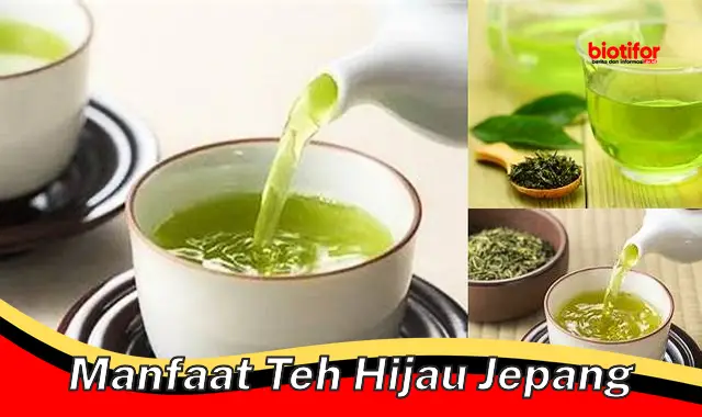 manfaat teh hijau jepang