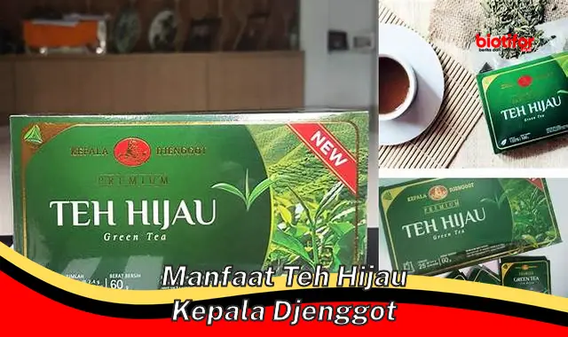 manfaat teh hijau kepala djenggot