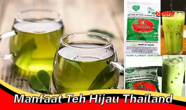 manfaat teh hijau thailand