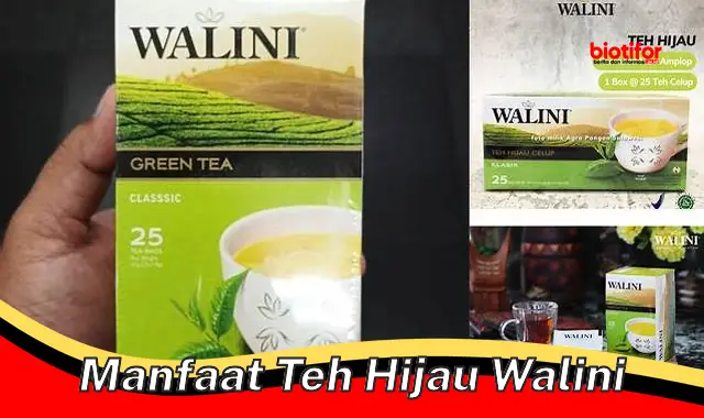 manfaat teh hijau walini