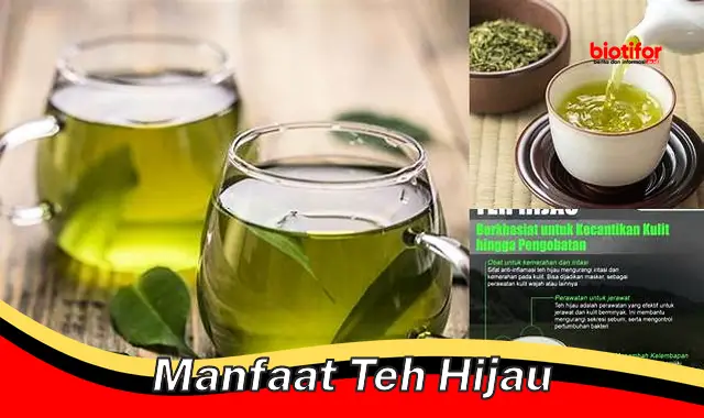 manfaat teh hijau