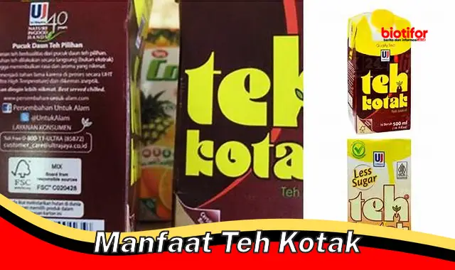 manfaat teh kotak