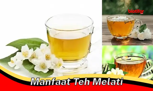 manfaat teh melati