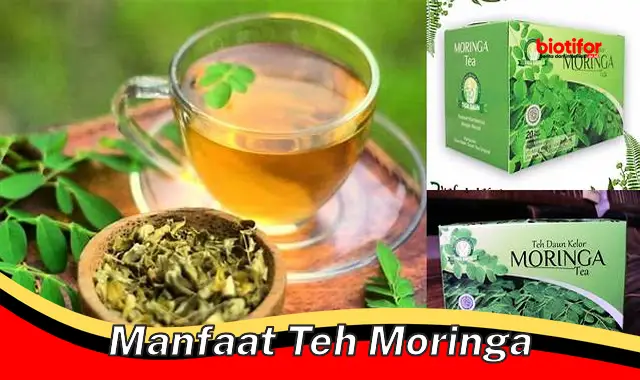 manfaat teh moringa