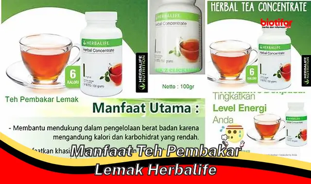 manfaat teh pembakar lemak herbalife