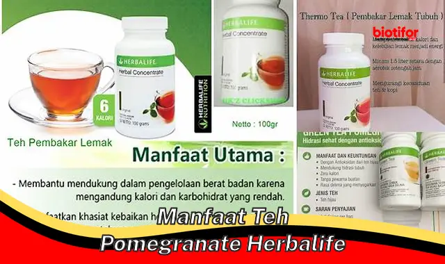 manfaat teh pomegranate herbalife