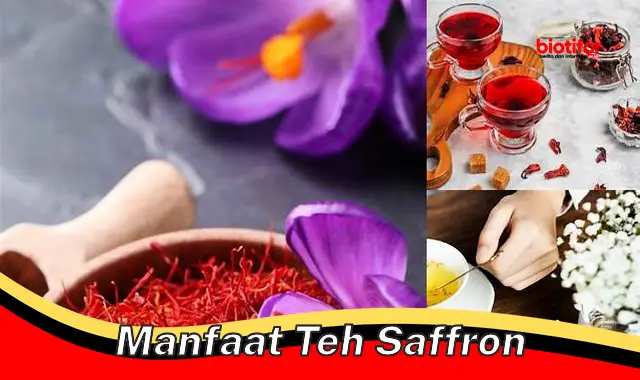 manfaat teh saffron