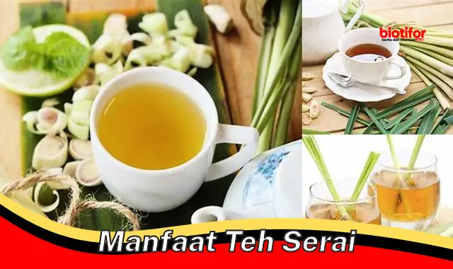 manfaat teh serai