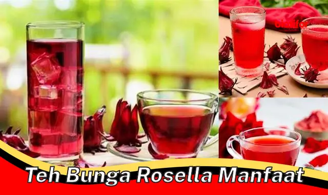 teh bunga rosella manfaat