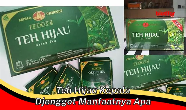 teh hijau kepala djenggot manfaatnya apa