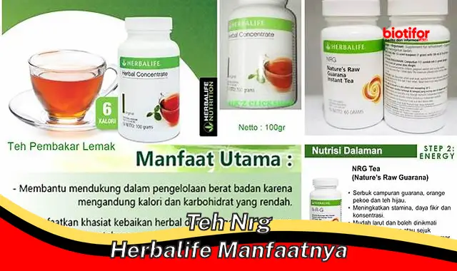 teh nrg herbalife manfaatnya