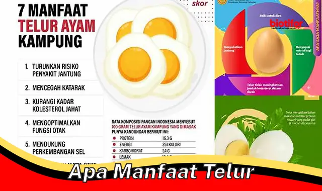 apa manfaat telur