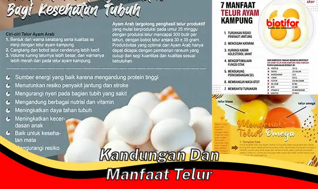 kandungan dan manfaat telur