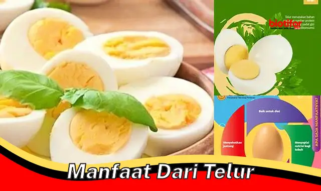 manfaat dari telur